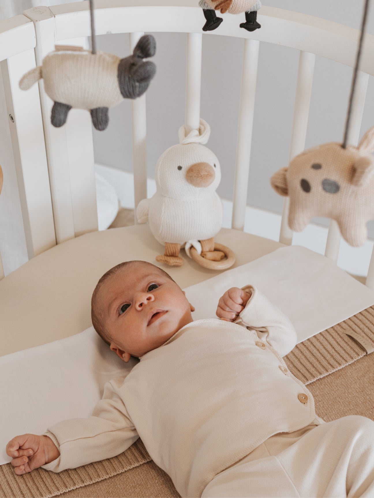 Music toy Duck Bamboom Toys