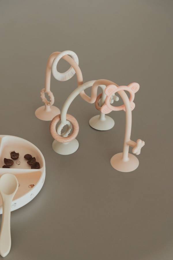 Gioco con ventose rosa Bamboom