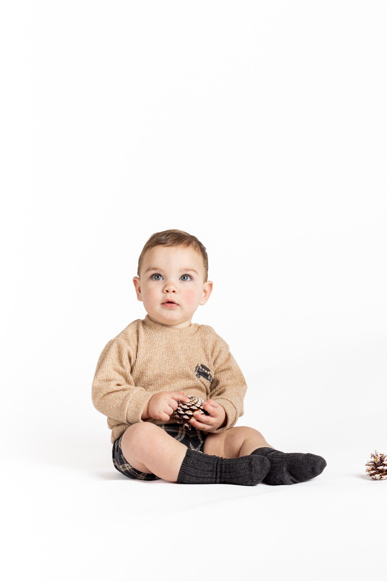 Set pantaloncino e maglioncino Calamaro