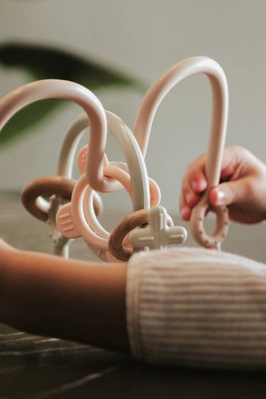 Gioco con ventose rosa Bamboom