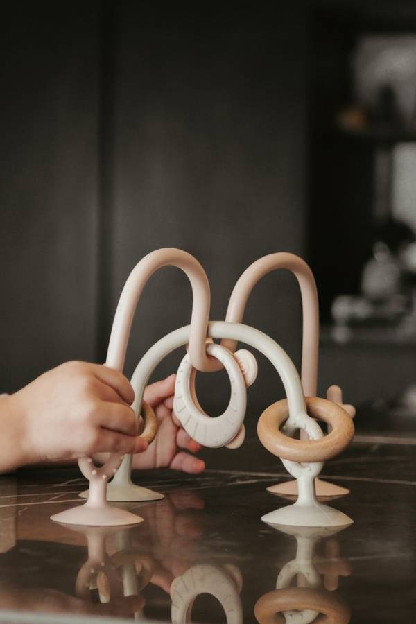 Gioco con ventose rosa Bamboom